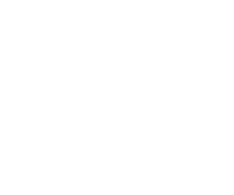 Web Designer / Calie Boateng